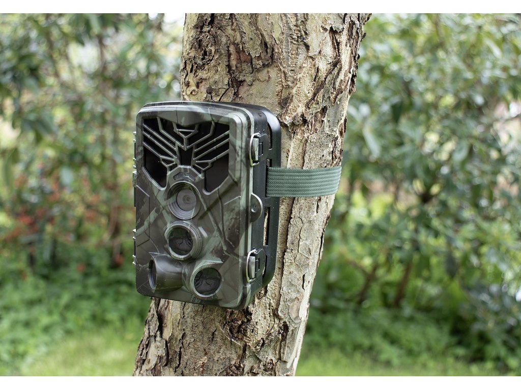 CapableX Vildt kamera med WIFI & App styring