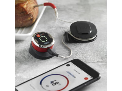 Weber iGrill mini